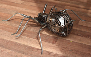 spidernew3