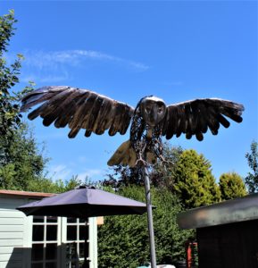 Owl1