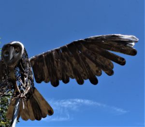Owl3