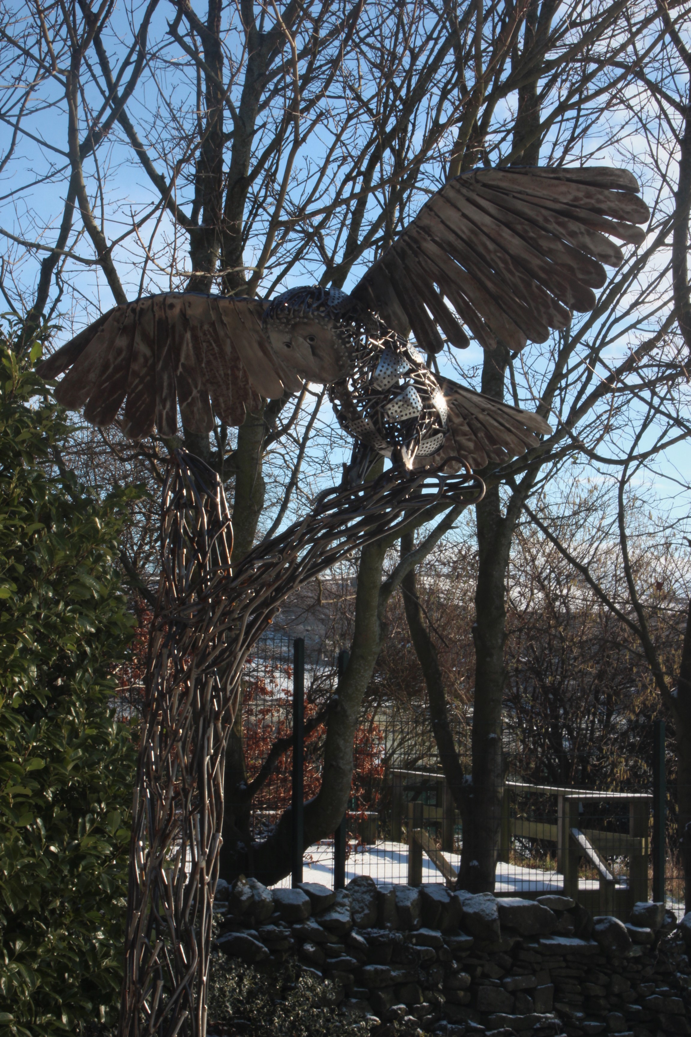 Owltree3